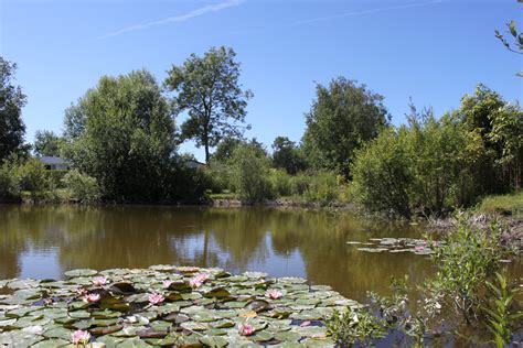 À la Découverte des Campings avec Étang de Pêche en Somme