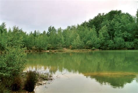 Achat d’étang en Haute-Saône : où trouver les meilleures offres ?