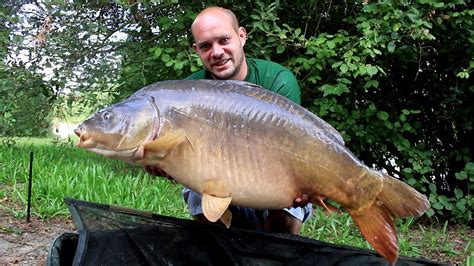 Comment optimiser sa pêche à la carpe en étang ?