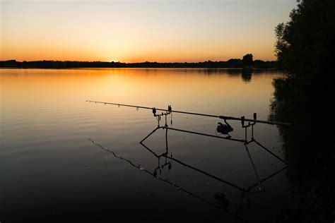 Comment optimiser votre expérience de pêche de la carpe de nuit ?