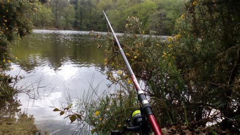 Montage et bas de ligne pour la pêche de la truite en étang