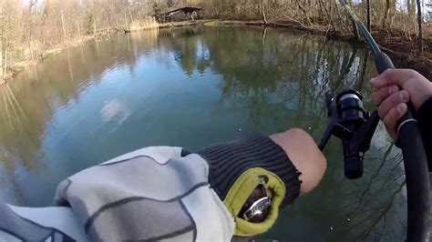 Conseils et Techniques pour Réussir la Pêche à la Truite en Étang