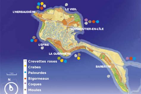 Conseils pour la Pêche à Pied à Noirmoutier