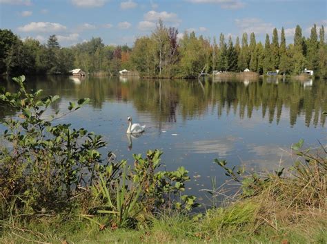 Découvrez le Camping Grande Sologne : Nature, Pêche et Culture