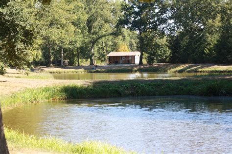 Découvrez le Camping Grande Sologne : Un Paradis pour les Amoureux de la Pêche et de la Nature