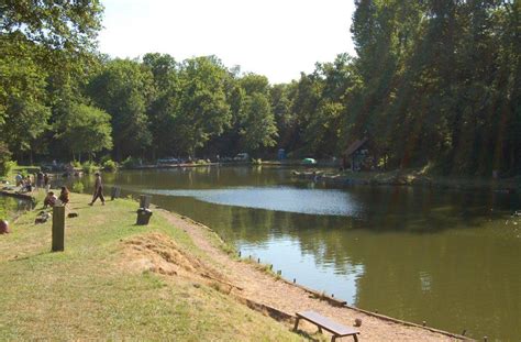 Domaine Multipêche de la Sablonneuse à Wahagnies : Tarifs, Horaires et Services