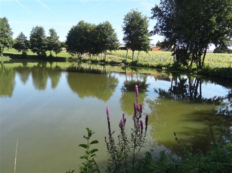 Explorez les Gîtes de Pêche en Normandie: Confort et Nature