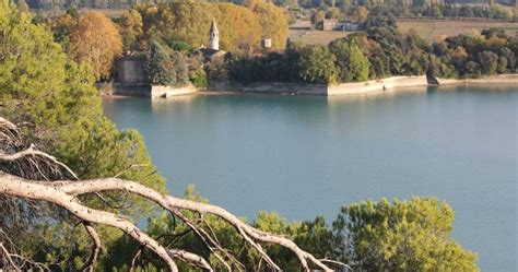 Explorez les Meilleurs Étangs de Pêche dans le Vaucluse (84)