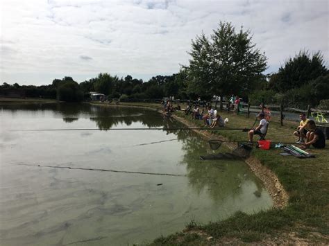 Explorez les Meilleurs Étangs de Pêche en France et en Belgique