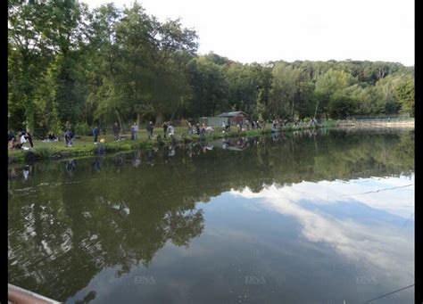 Explorez les Meilleurs Étangs de Pêche en Seine-et-Marne (77)