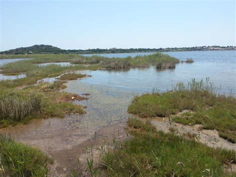 Guide Complet pour la Pêche à Gruissan: Espèces, Techniques et Lieux