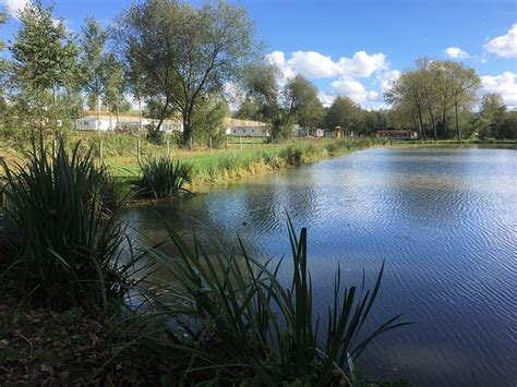 Guide de Pêche à Muizon : Découvrez les Meilleurs Spots