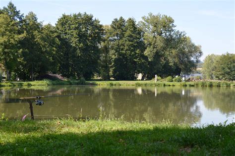 Guide des Meilleurs Étangs de Pêche en France et en Belgique