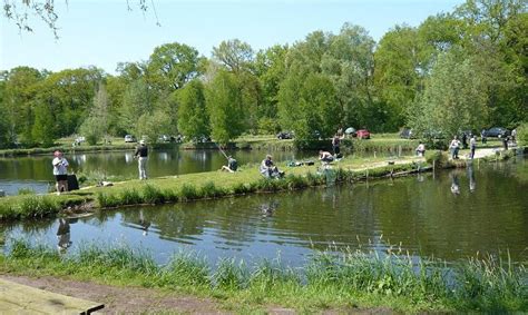 Investir dans la Location d'Étangs pour la Pêche en 2022