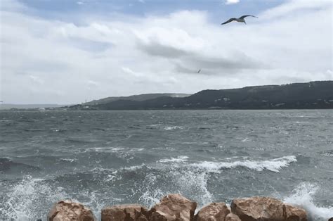 La Pêche dans l’Étang de Berre: Traditions et Réglementations