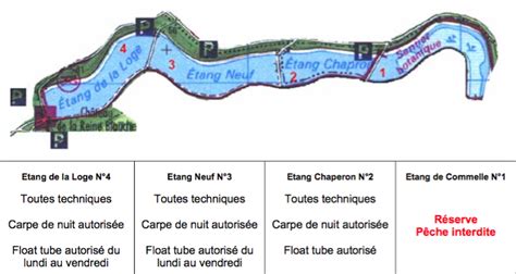 Les Étangs de Commelles : Un Site Naturel Exceptionnel pour la Pêche