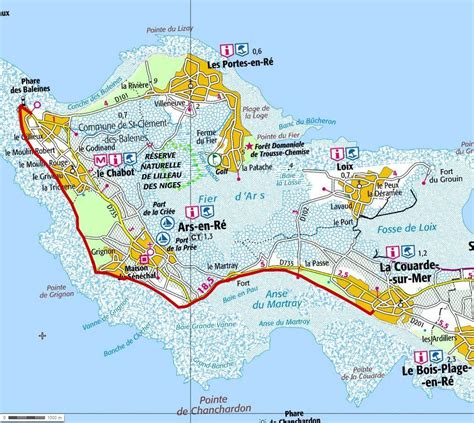 Les Meilleurs Conseils pour la Pêche à Pied sur l’Île de Ré