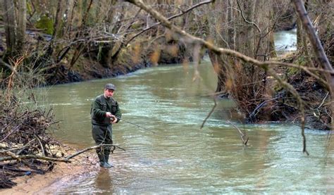 Les Meilleurs Spots de Pêche à la Truite dans la Nièvre