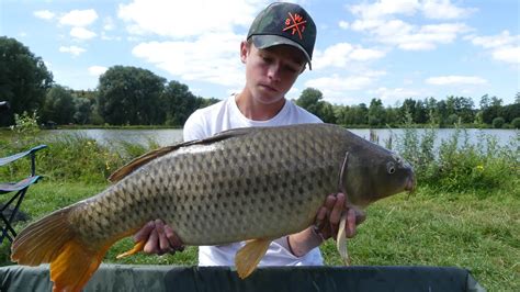 Meilleurs Spots de Pêche à la Carpe en Pays de la Loire