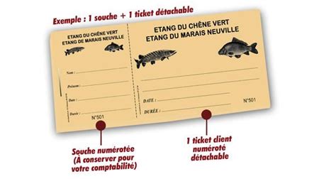 Procédures et Conséquences en Cas de Perte ou Pêche sans Carte de Pêche