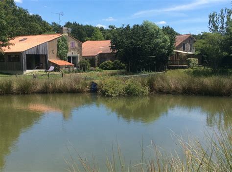 Profitez d’un séjour de pêche avec gîte et étang privé