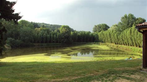 Terrain avec Étang dans les Vosges à Vendre