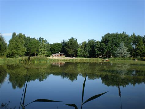 Top Chalets avec Étangs de Pêche Privés sur Airbnb