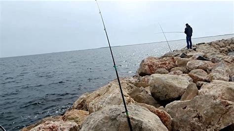 Tout Savoir sur la Pêche à l