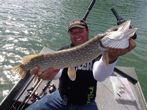 Trouver un Étang de Pêche dans la Haute-Garonne (31)