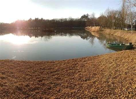 Trouver un Étang de Pêche dans le Loir-et-Cher (41)