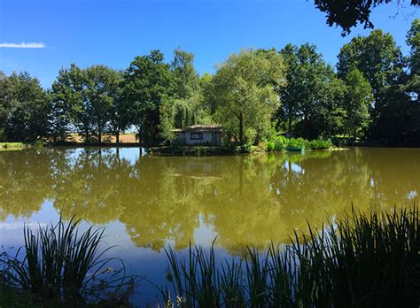 Étang de Pêche en Mayenne