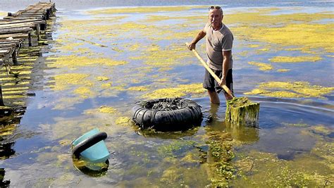 Étang de Thau – Hérault (34) : Découverte et Tarifs de la Pêche