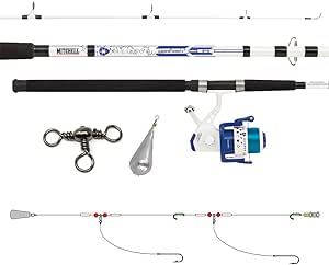 Expérience de pêche en mer optimisée avec le Mitchell Neuron Dorade Ensemble