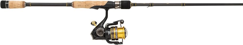 Exploring the Abu Garcia Superior Spinning Rod and Reel Combo for Spin Fishing Enthusiasts